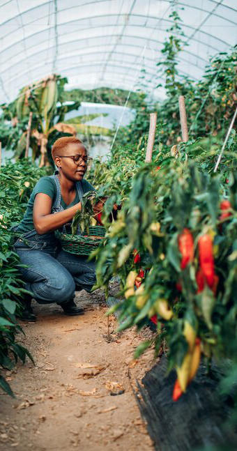 BIPOC Farmer