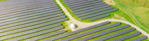 Social Cost of Carbon
